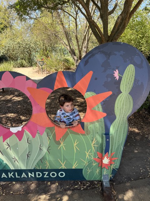 Peekaboo in the Wild
