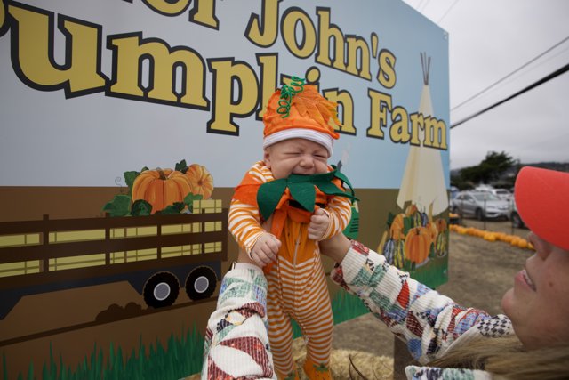 Little Pumpkin at the Farm