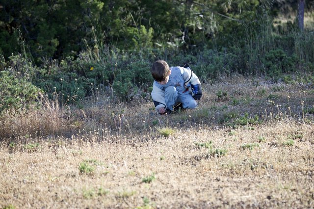 Young Explorer Discovering Nature on Dry Hillside