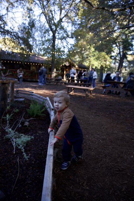 Woodland Wonders at Thistlewyck