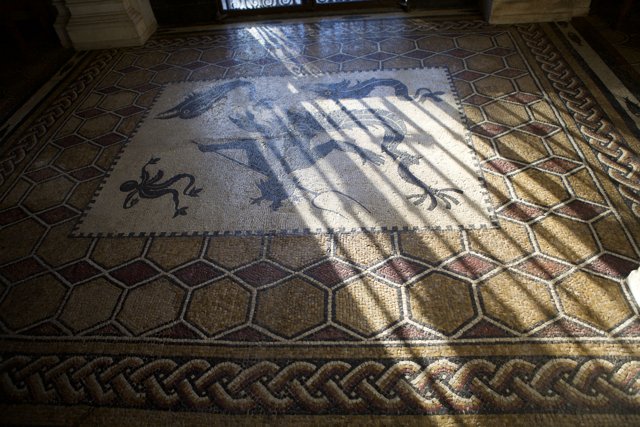 Artistic Dragon Mosaic Flooring