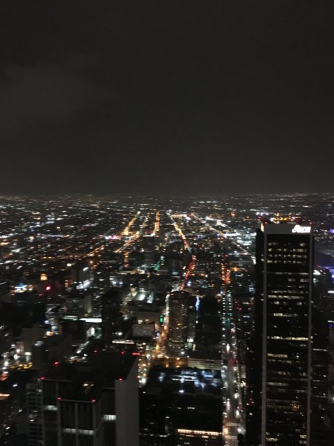 City Lights from the Los Angeles Tower