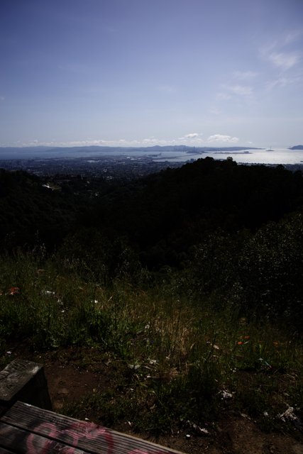 Thrilling Ride Down the Berkeley Hills
