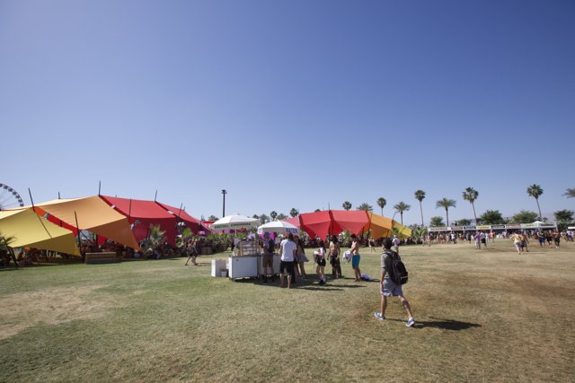 The Summer Oasis of Coachella