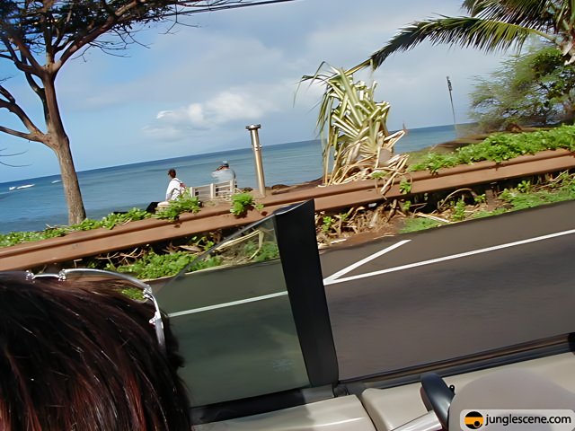 Traveling along the Hawaiian Coast