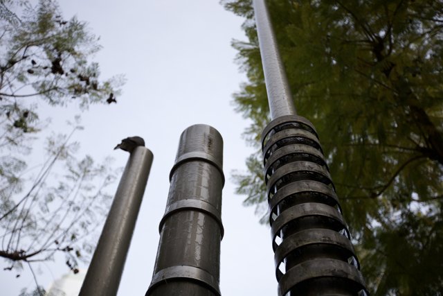 Metal Pole and Treescape