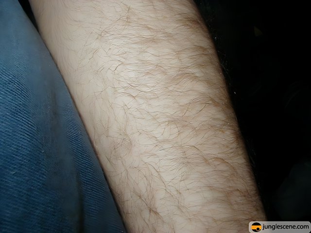 Hairy Arm on Denim Sleeve