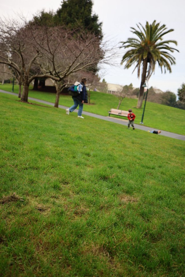 Hilltop Park Walk on Overcast Winter Day