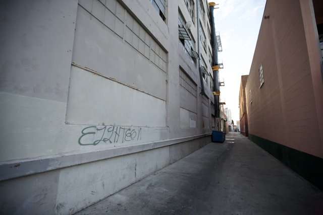 Urban Art in the Alleyway
