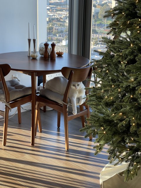 A Cozy Christmas Dinner Table