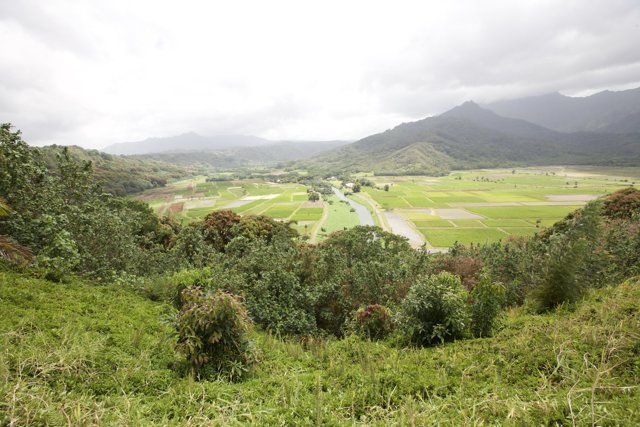 A Scenic View of a Lush Green Valley and Mountain Range