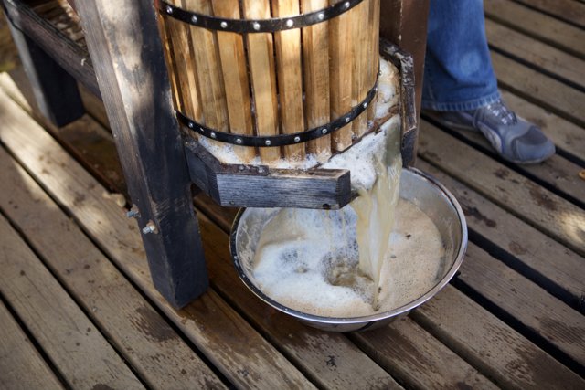 Pouring Milk into Wooden Bucket