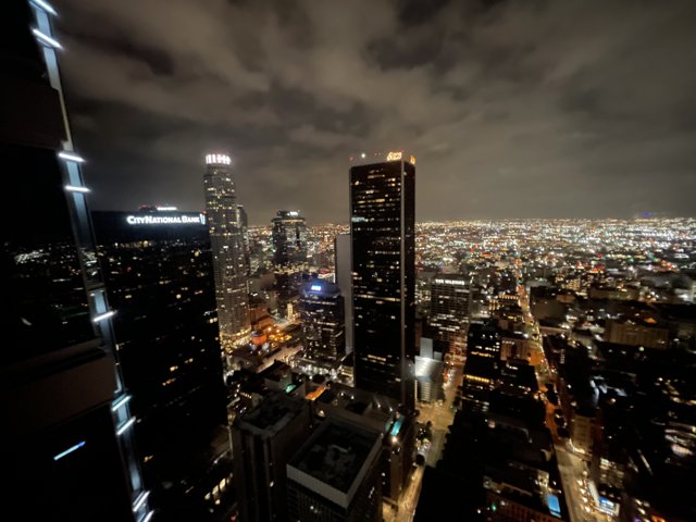 Los Angeles Nightscape from the Top of the Tower