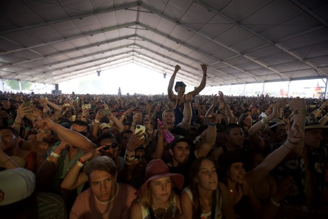 Coachella Crowd Vibes