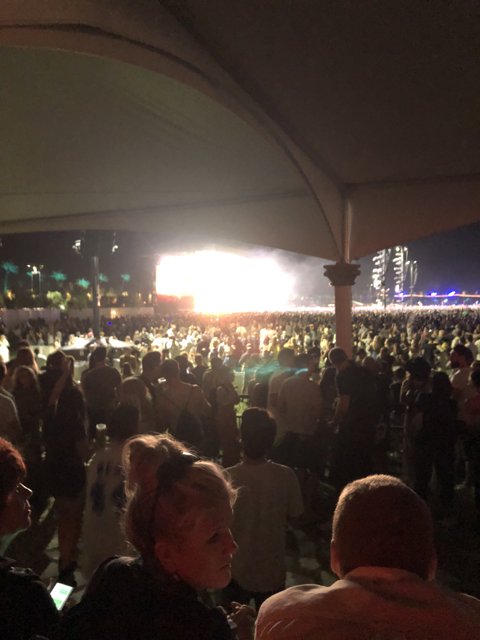 Night-time Crowd Jamming to Live Performance