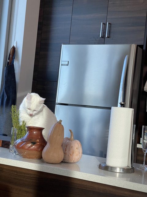 Cool Cat by the Fridge