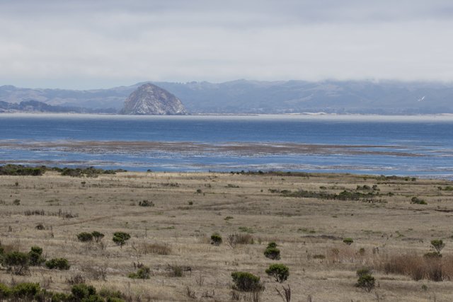 Serene Shores of Cayucos