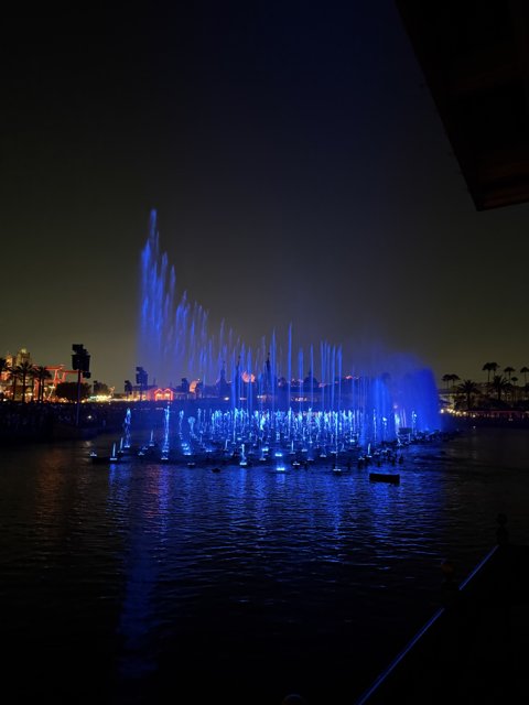 Enchanted Night at the Waterfront