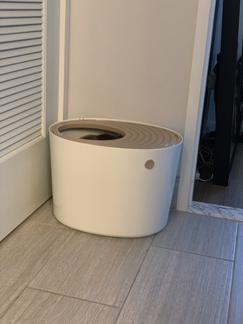 Tidy Up with a White Cat Litter Box
