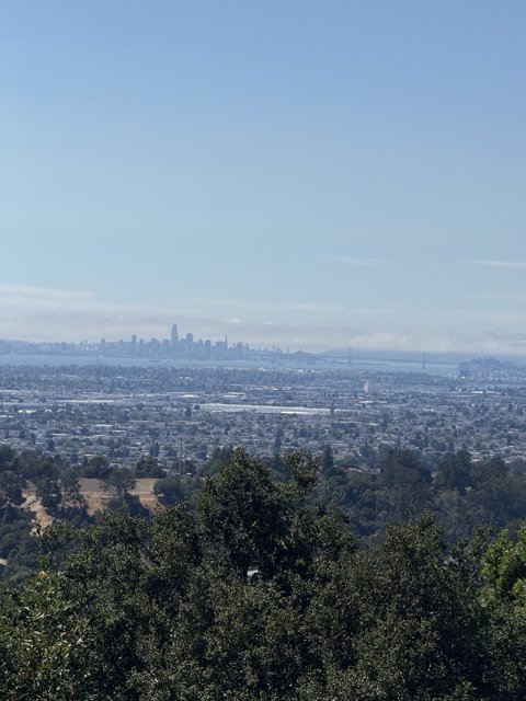 Oakland Horizons