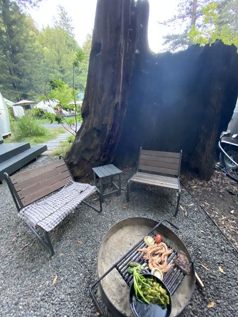 Summer BBQ at the Fire Pit