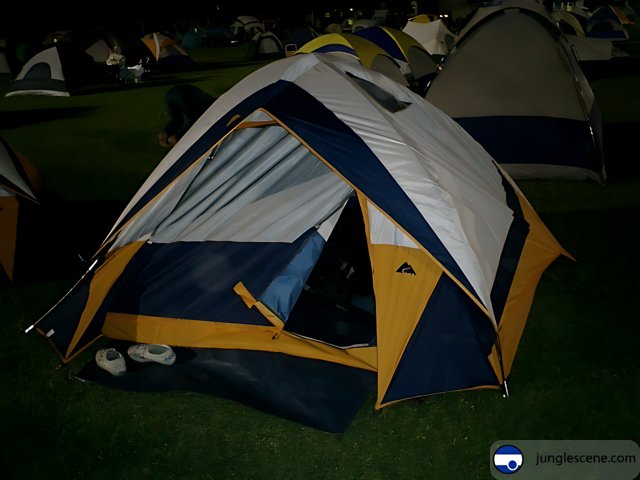 Night Camping in the Great Outdoors