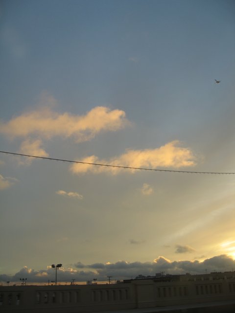 Sunset Flight Silhouette