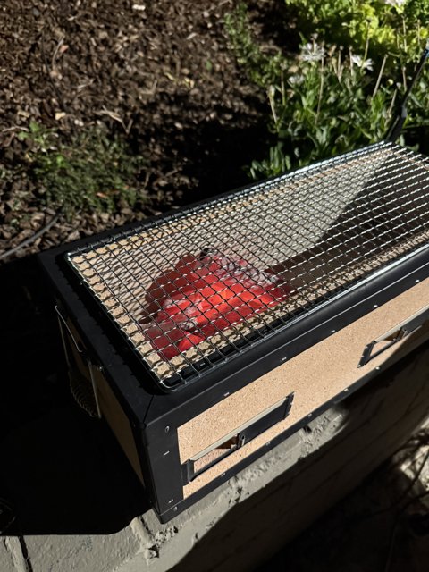 Evening BBQ Bliss