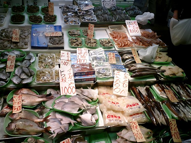 Seafood market display in Tokyo