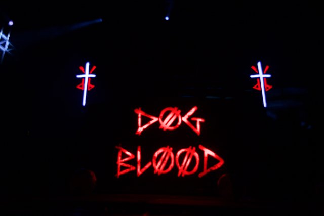 Neon Cross with Dog Blood