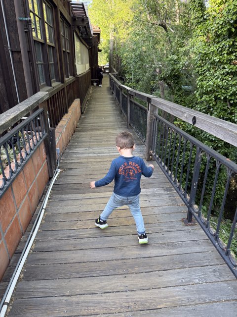 Exploring the Pathway