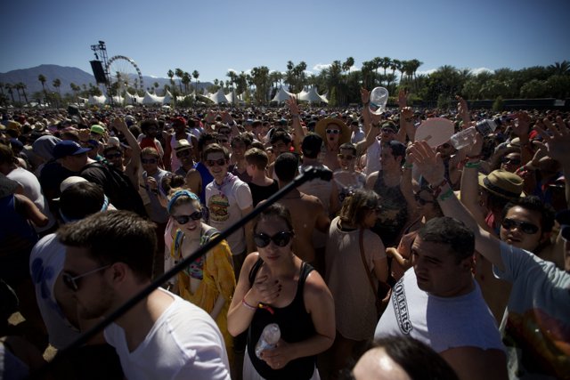 Energized Crowd at Coachella 2012
