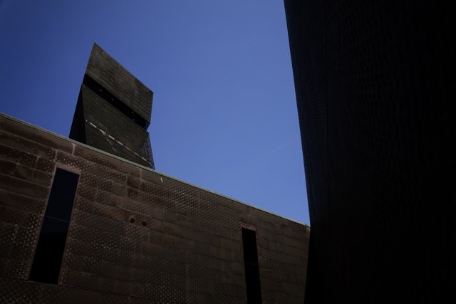 The Towering Icon: de Young Museum