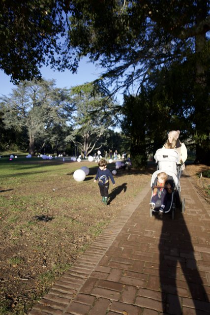 Stroll Through Thistlewyck