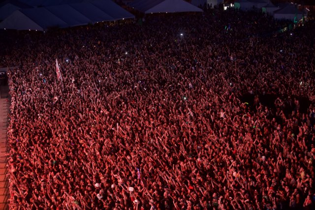 A Sea of Fans at Coachella 2015