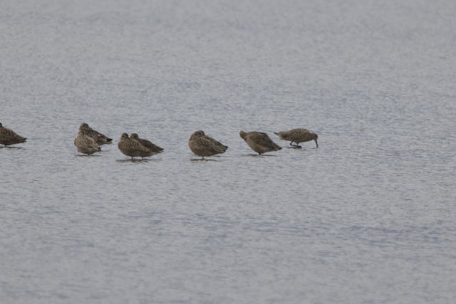 Tranquil Gathering in San Pablo Bay