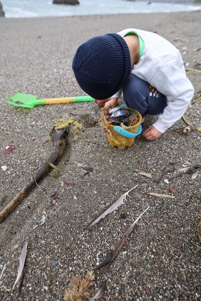 Young Explorer Collecting Beach Treasures in Sand