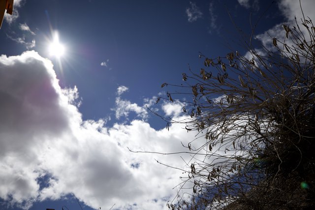 Dramatic Sunburst Through Clouds with Desert Vegetation