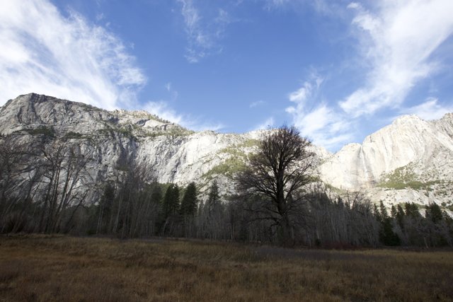 The Solitary Sentinel of Yosemite