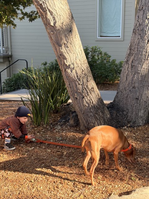 Morning Adventures in Carmel