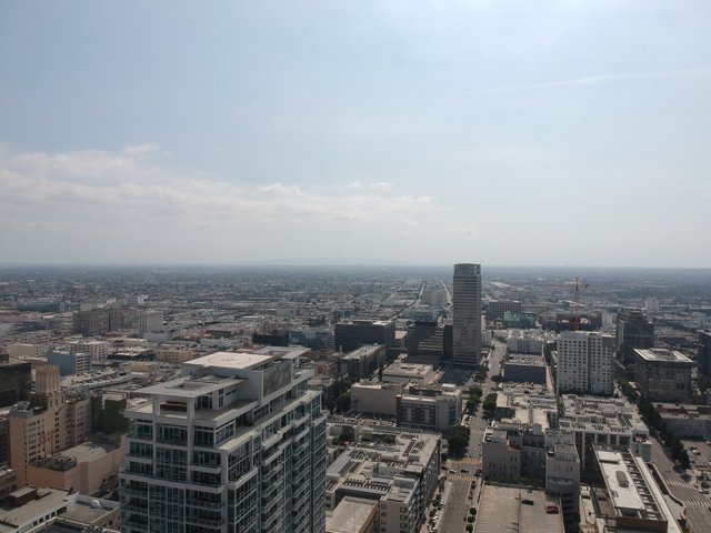 The Majestic Cityscape of Los Angeles