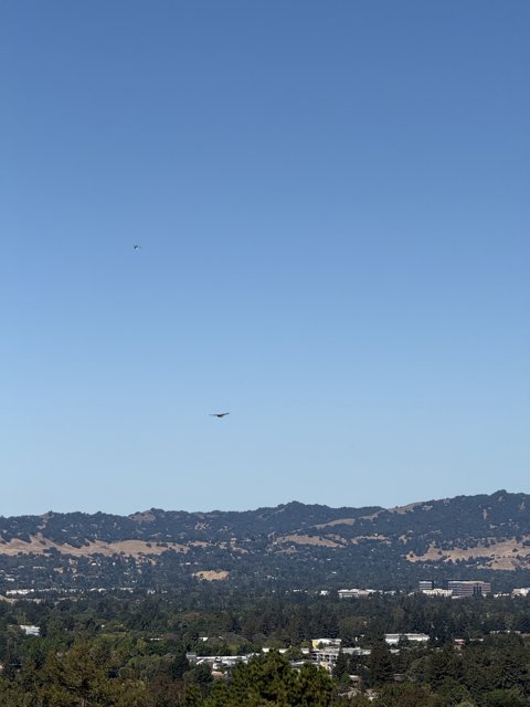 Skies Above Walnut Creek
