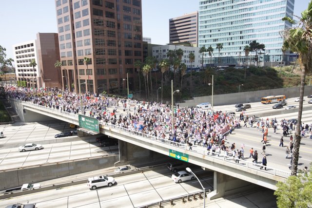 Mayday Rally: A Sea of People on a City Bridge