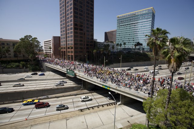 Mayday Rally on the Urban Bridge