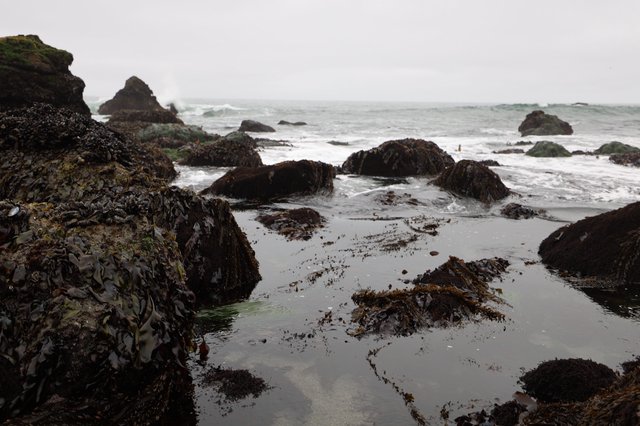 Rugged Tide Pools at Schoolhouse Beach on Overcast Day