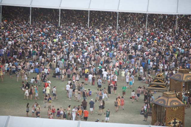 Coachella Crowd Madness