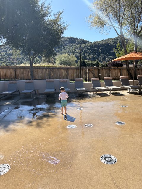 Splash of Sunshine