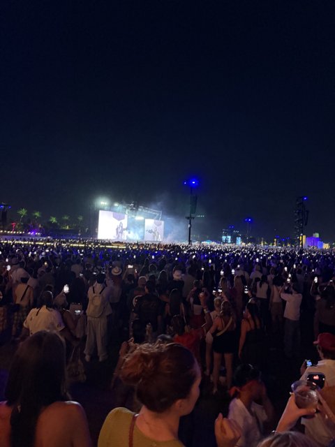 Electrifying Nights at Indio