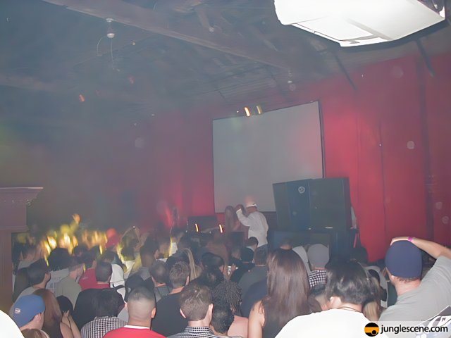 Smoke-Filled Nightclub Crowd