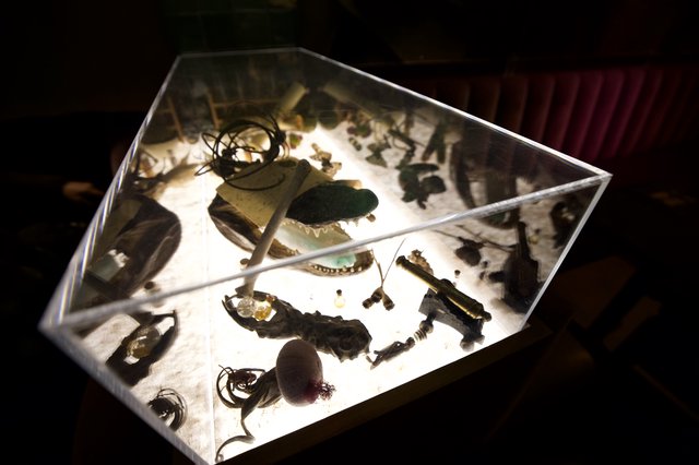 Illuminated Display Case of Archaeological Artifacts and Natural Specimens